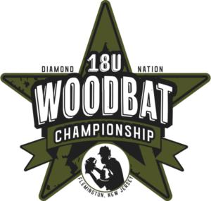 nation diamond baseball 2021 bat championship wood labor blast fall