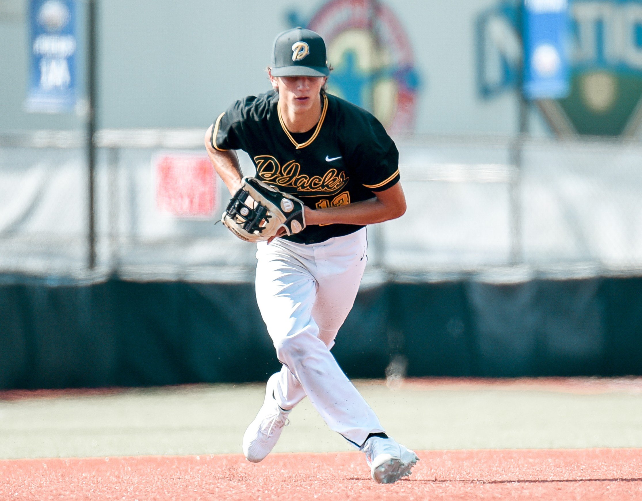 Stetson Baseball Camps